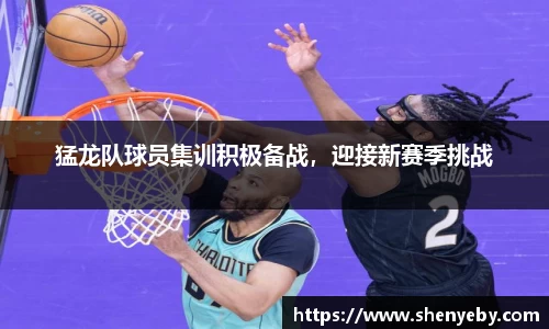 猛龙队球员集训积极备战，迎接新赛季挑战